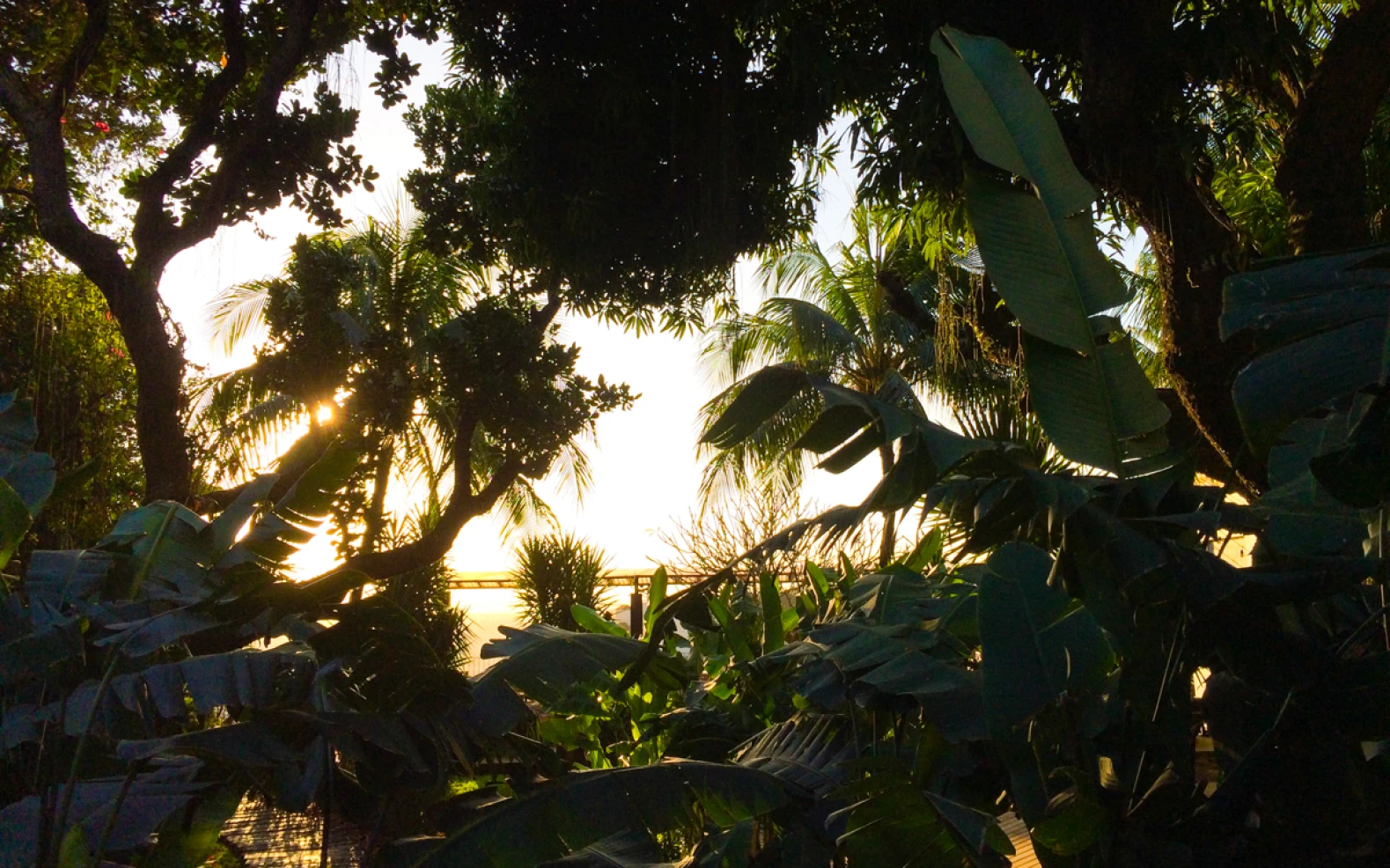 Panoramic Balcony - Sunset in Santa Teresa - Image